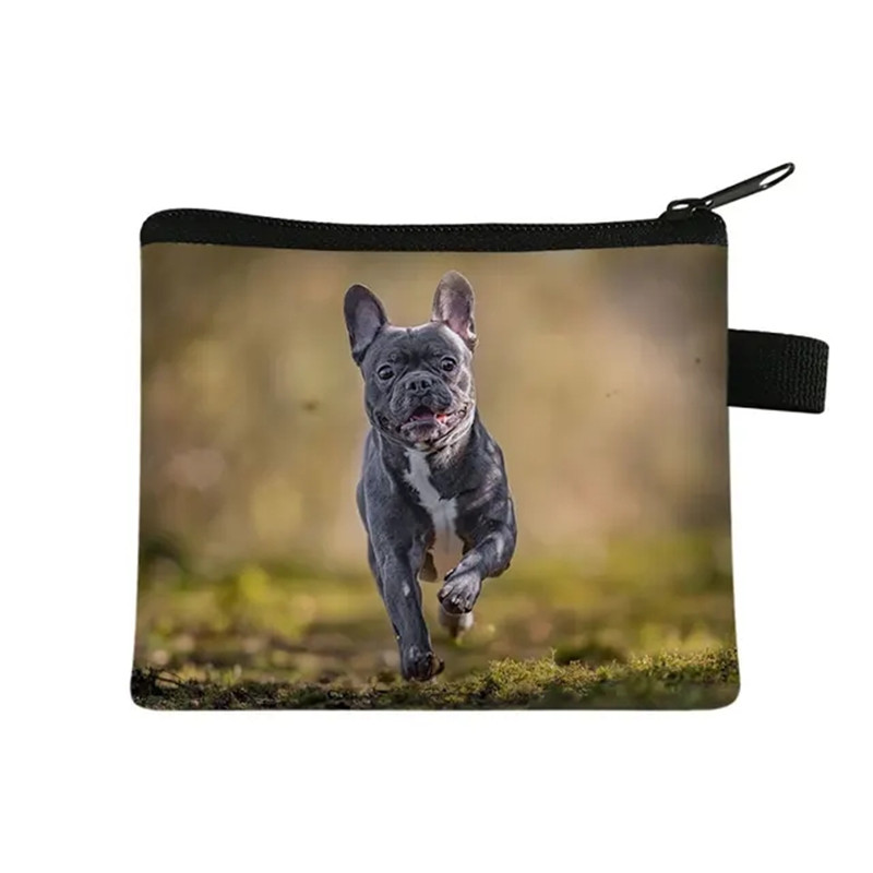 Dompet Koin Gambar Bulldog Bun - Men Fashion Kids ulasan dan harga