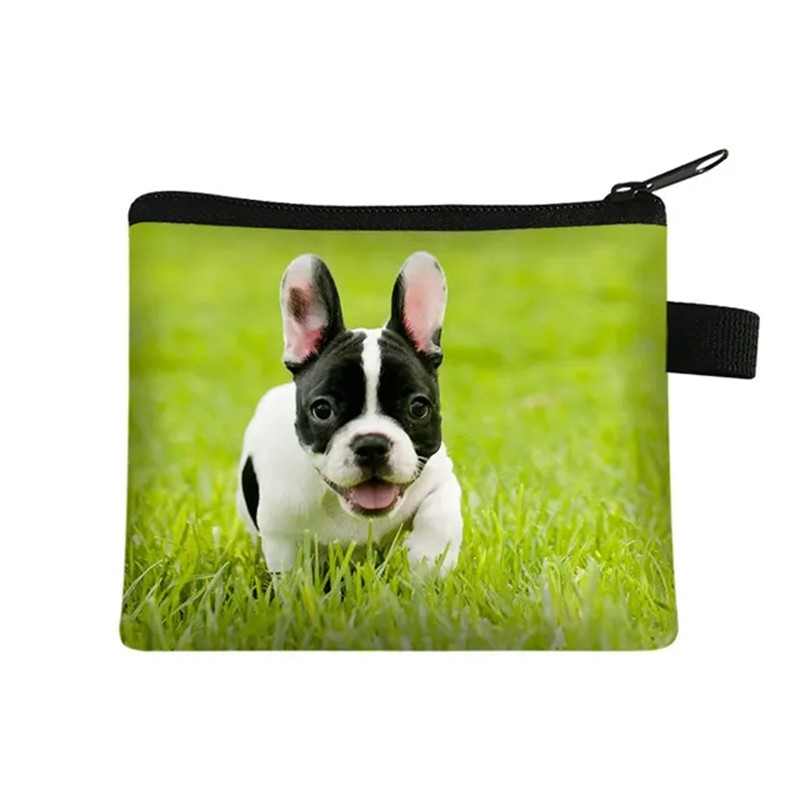Dompet Koin Gambar Bulldog Bun - Men Fashion Kids ulasan dan harga